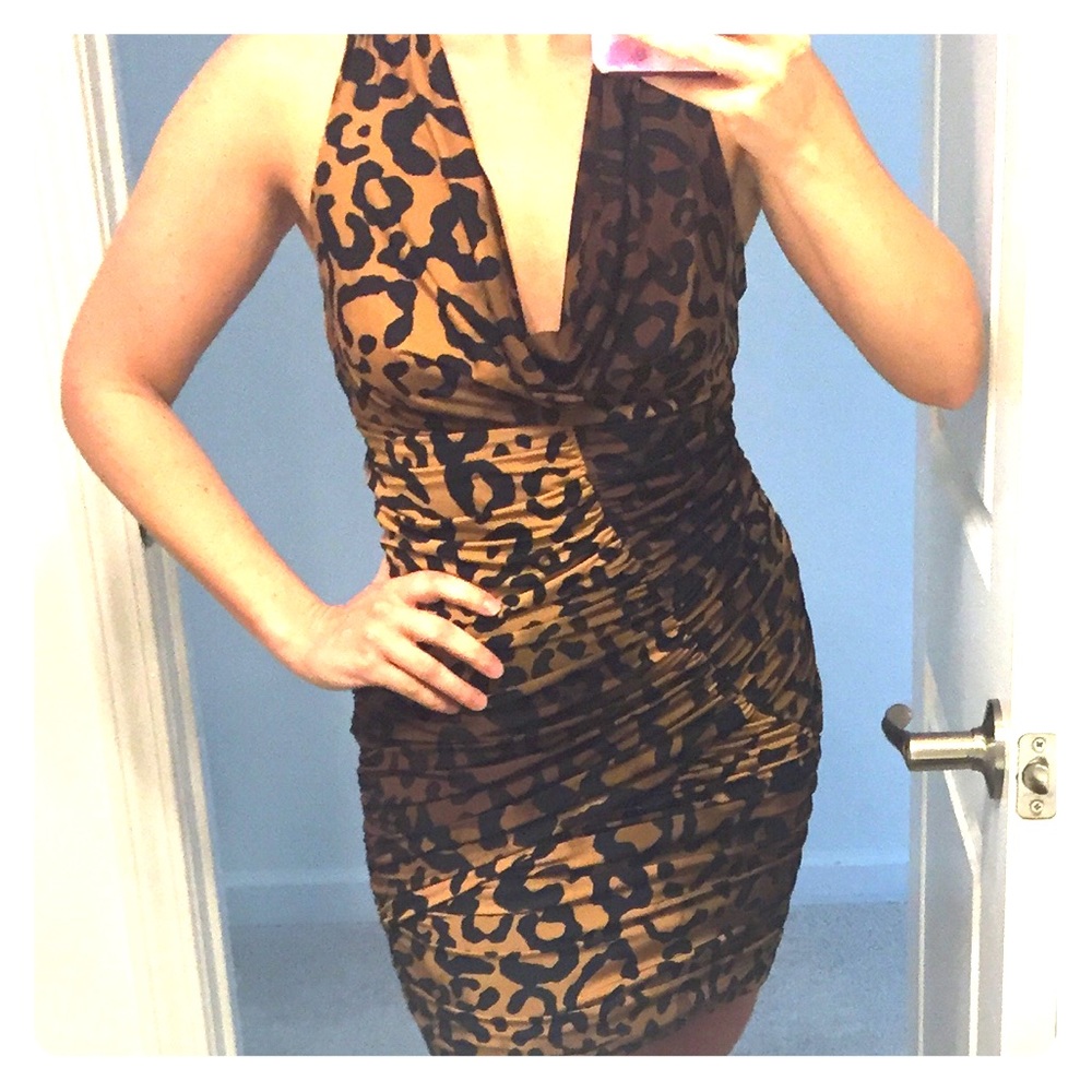 Animal Print Bodycon Dress